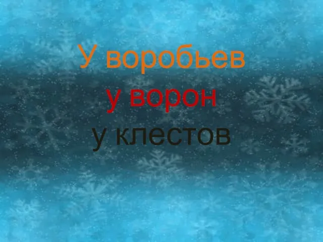 У воробьев у ворон у клестов