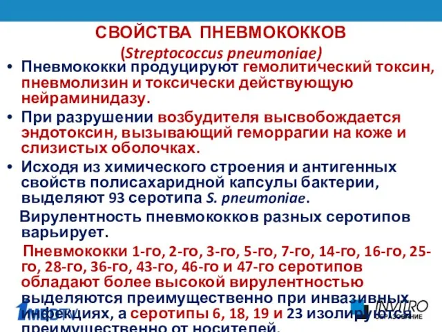 СВОЙСТВА ПНЕВМОКОККОВ (Streptococcus pneumoniae) Пневмококки продуцируют гемолитический токсин, пневмолизин и