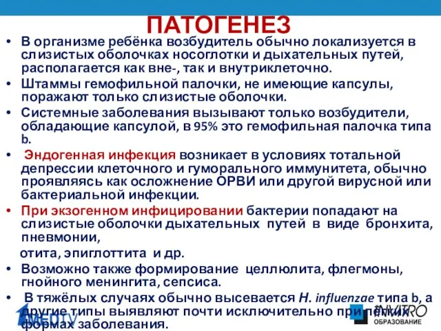 ПАТОГЕНЕЗ В организме ребёнка возбудитель обычно локализуется в слизистых оболочках