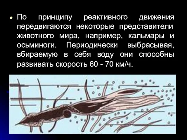 По принципу реактивного движения передвигаются некоторые представители животного мира, например,