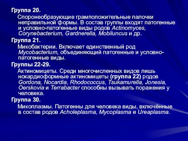 Группа 20. Споронеобразующие грамположительные палочки неправильной формы. В состав группы