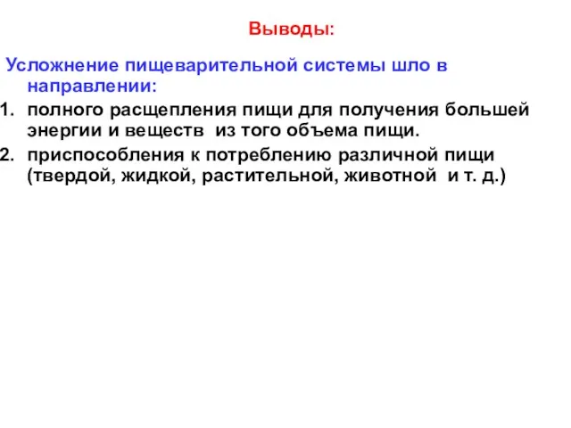 Усложнение пищеварительной системы шло в направлении: полного расщепления пищи для получения большей энергии