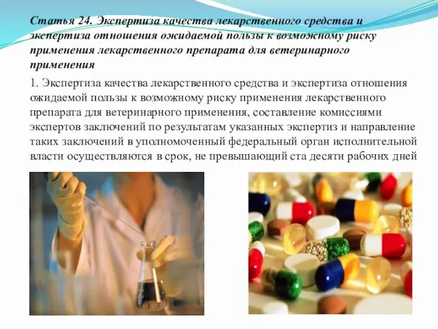 Статья 24. Экспертиза качества лекарственного средства и экспертиза отношения ожидаемой