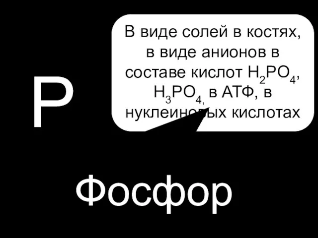 P P Фосфор В виде солей в костях, в виде