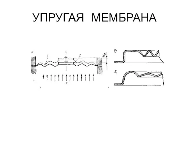 УПРУГАЯ МЕМБРАНА