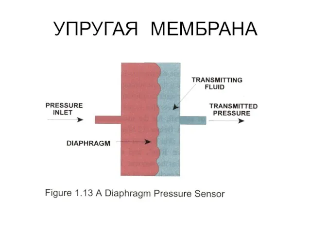 УПРУГАЯ МЕМБРАНА