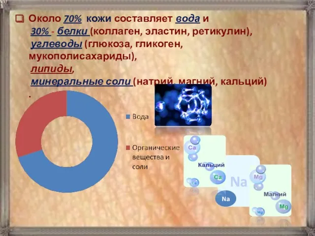 Около 70% кожи составляет вода и 30% - белки (коллаген,