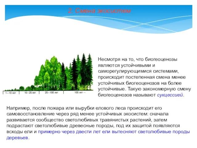 2. Смена экосистем Например, после пожара или вырубки елового леса