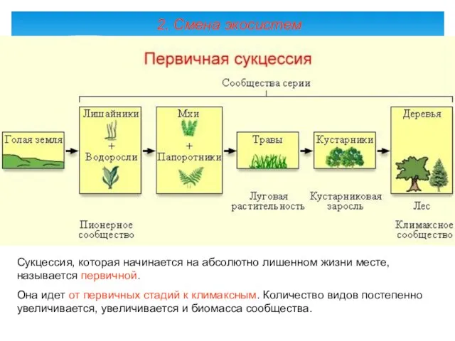 2. Смена экосистем Сукцессия, которая начинается на абсолютно лишенном жизни