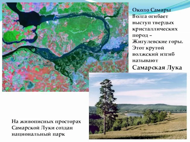 Около Самары Волга огибает выступ твердых кристаллических пород – Жигулевские
