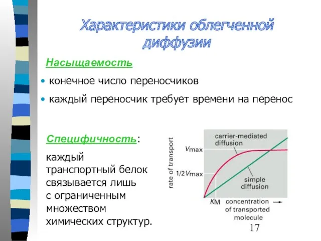 Характеристики облегченной диффузии Насыщаемость конечное число переносчиков каждый переносчик требует