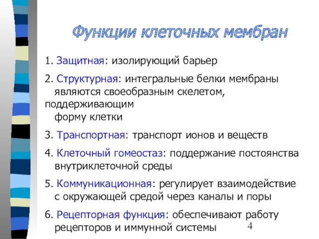 Функции клеточных мембран 1. Защитная: изолирующий барьер 2. Структурная: интегральные