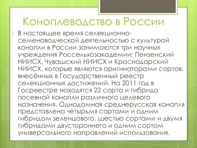 Коноплеводство в России В настоящее время селекционно-семеноводческой деятельностью с культурой