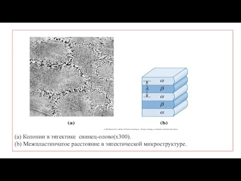 (а) Колонии в эвтектике свинец-олово(x300). (b) Межпластинчатое расстояние в эвтектической микроструктуре.