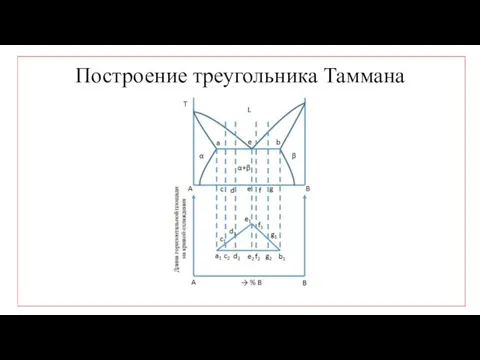 Построение треугольника Таммана