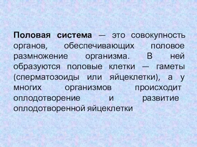 Половая система — это совокупность органов, обеспечивающих половое размножение организма.