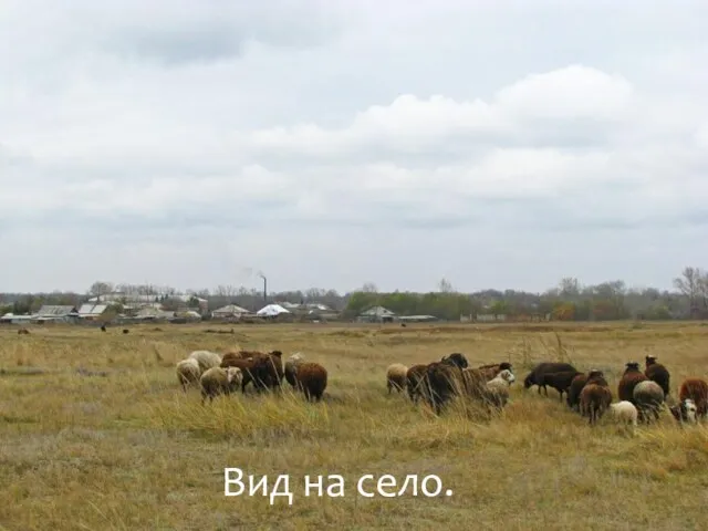 Вид на село.