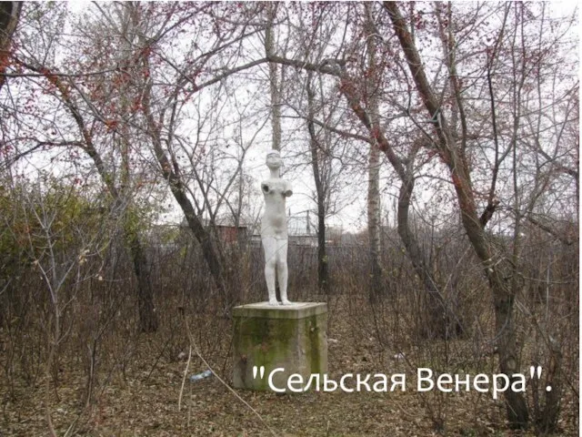 "Сельская Венера".