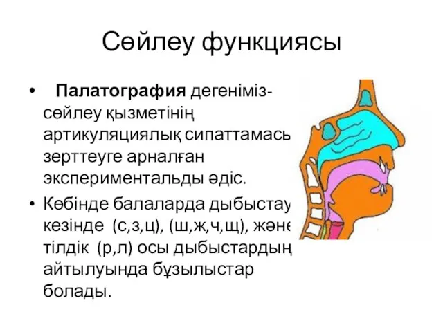 Сөйлеу функциясы Палатография дегеніміз- сөйлеу қызметінің артикуляциялық сипаттамасын зерттеуге арналған