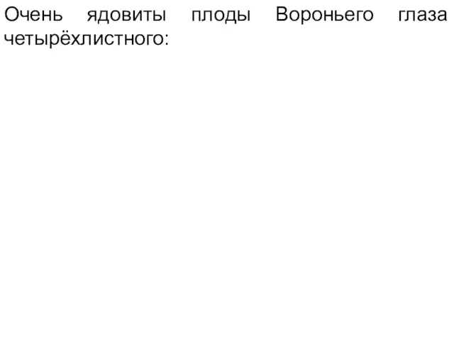 Очень ядовиты плоды Вороньего глаза четырёхлистного: