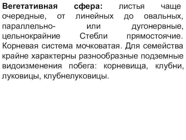 Вегетативная сфера: листья чаще очередные, от линейных до овальных, параллельно-