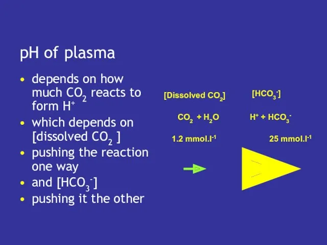 pH of plasma depends on how much CO2 reacts to form H+ which