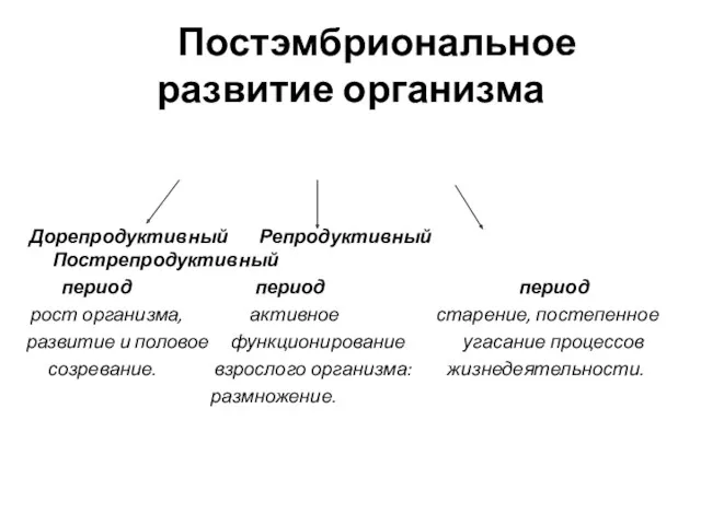 Постэмбриональное развитие организма Дорепродуктивный Репродуктивный Пострепродуктивный период период период рост