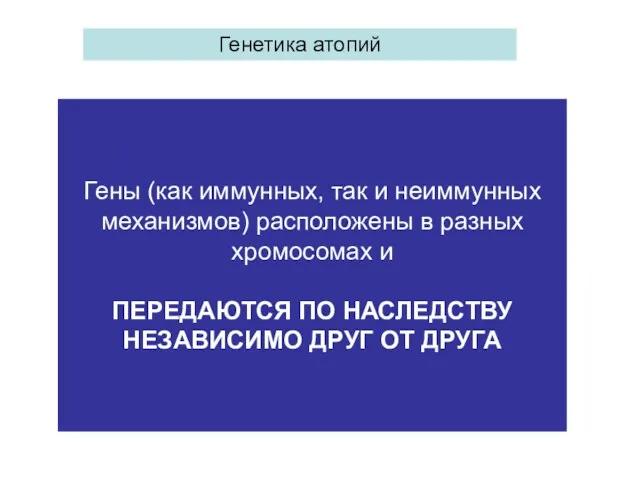 Гены (как иммунных, так и неиммунных механизмов) расположены в разных хромосомах и ПЕРЕДАЮТСЯ