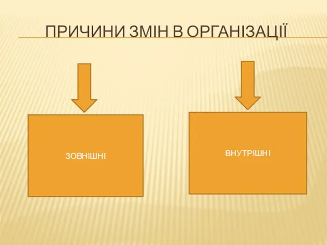 ПРИЧИНИ ЗМІН В ОРГАНІЗАЦІЇ ЗОВНІШНІ ВНУТРІШНІ