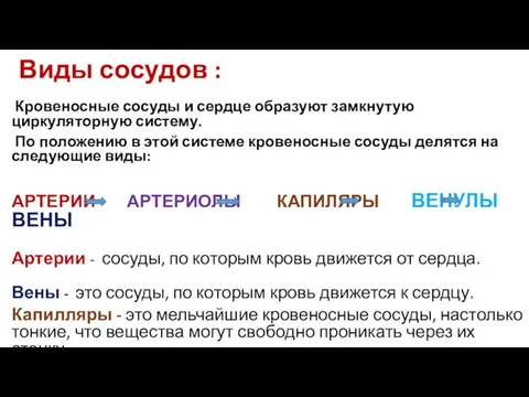 Виды сосудов : Кровеносные сосуды и сердце образуют замкнутую циркуляторную