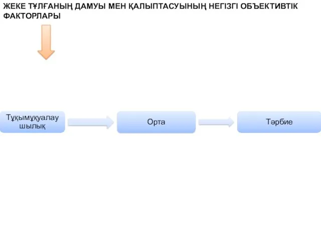 ЖЕКЕ ТҰЛҒАНЫҢ ДАМУЫ МЕН ҚАЛЫПТАСУЫНЫҢ НЕГІЗГІ ОБЪЕКТИВТІК ФАКТОРЛАРЫ Тұқымұқуалаушылық Орта Тәрбие