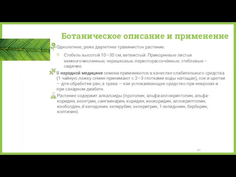 Ботаническое описание и применение Однолетнее, реже двулетнее травянистое растение. Стебель