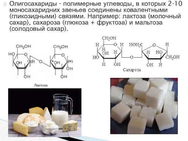 Олигосахариды - полимерные углеводы, в которых 2-10 моносахаридних звеньев соединены