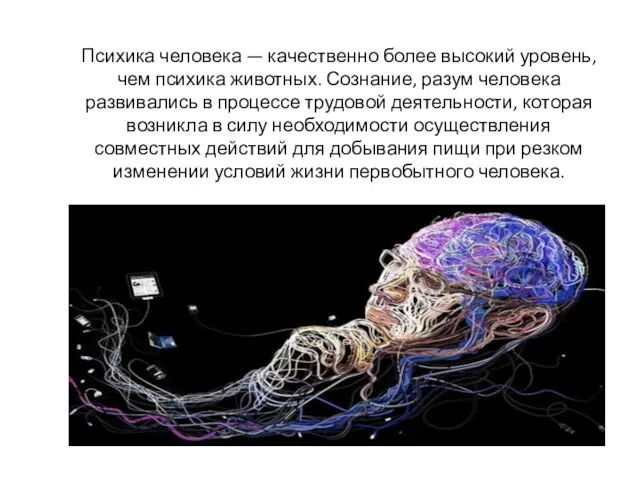 Психика человека — качественно более высокий уровень, чем психика животных.