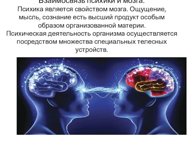 Взаимосвязь психики и мозга. Психика является свойством мозга. Ощущение, мысль,