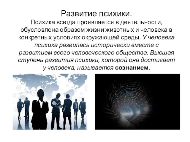 Развитие психики. Психика всегда проявляется в деятельности, обусловлена образом жизни