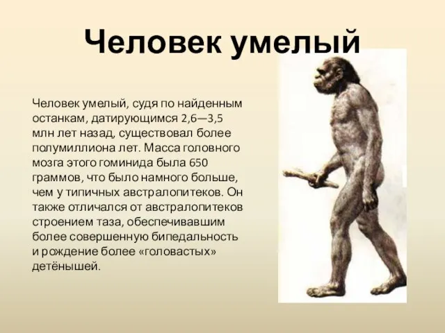 Человек умелый, судя по найденным останкам, датирующимся 2,6—3,5 млн лет