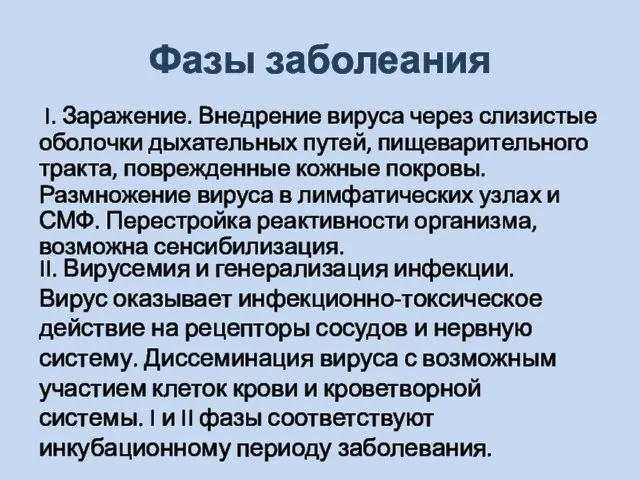 Фазы заболеания I. Заражение. Внедрение вируса через слизистые оболочки дыхательных