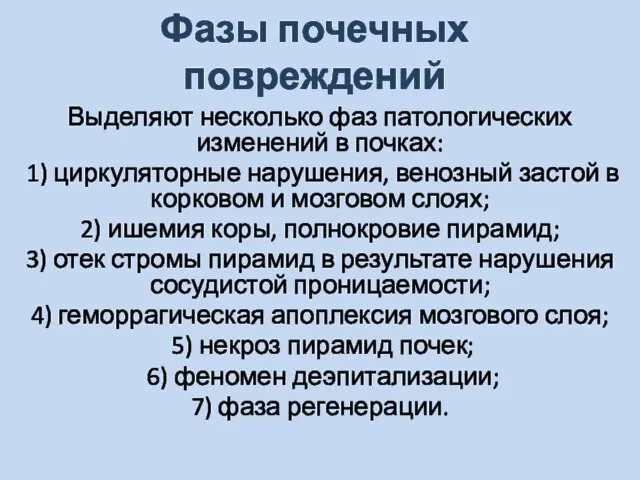 Фазы почечных повреждений Выделяют несколько фаз патологических изменений в почках: