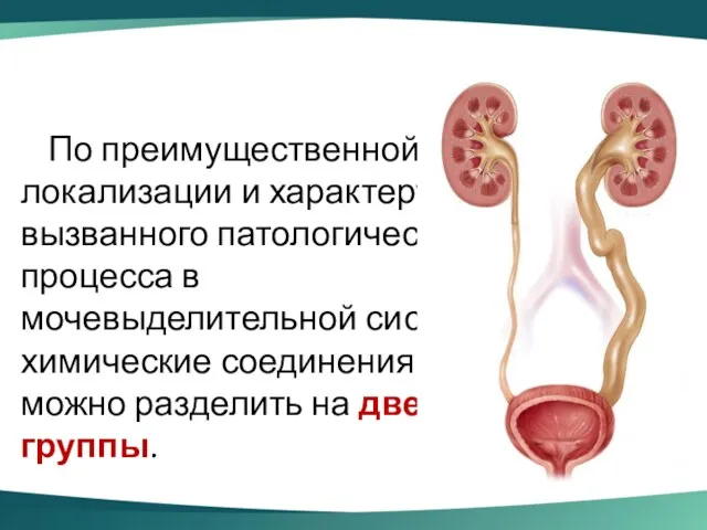 По преимущественной локализации и характеру вызванного патологического процесса в мочевыделительной