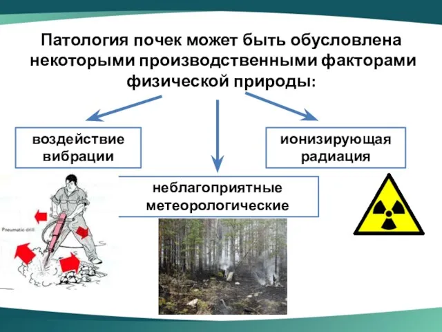 Патология почек может быть обусловлена некоторыми про­изводственными факторами физической природы: воздействие вибрации ионизирующая