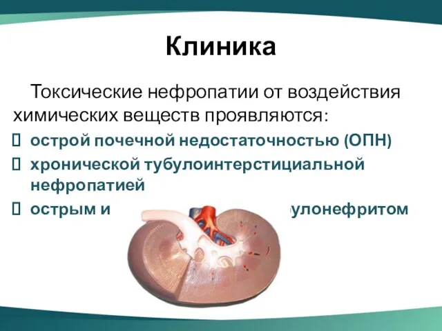 Клиника Токсические нефропатии от воздействия химических веществ проявляются: острой почечной недостаточностью (ОПН) хронической