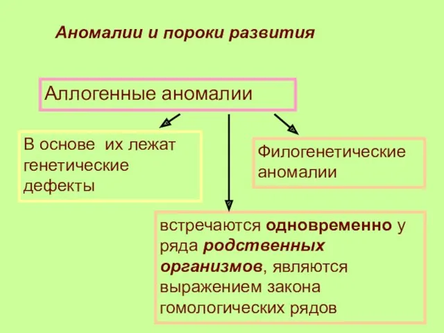 Аллогенные аномалии Аномалии и пороки развития В основе их лежат