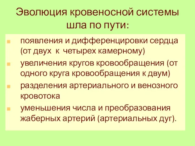 Эволюция кровеносной системы шла по пути: появления и дифференцировки сердца