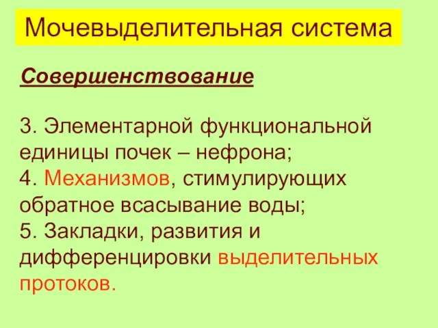 Мочевыделительная система Совершенствование 3. Элементарной функциональной единицы почек – нефрона;