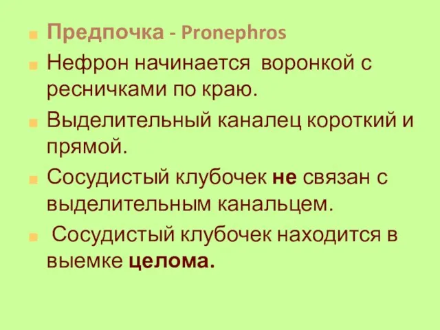 Предпочка - Pronephros Нефрон начинается воронкой с ресничками по краю.