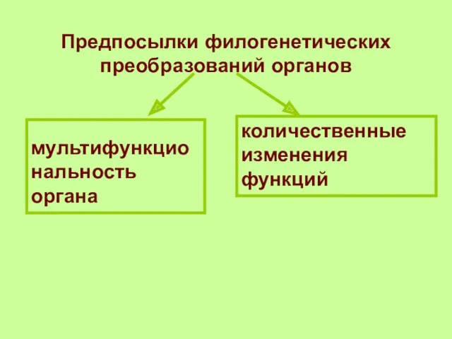 Предпосылки филогенетических преобразований органов мультифункциональность органа количественные изменения функций