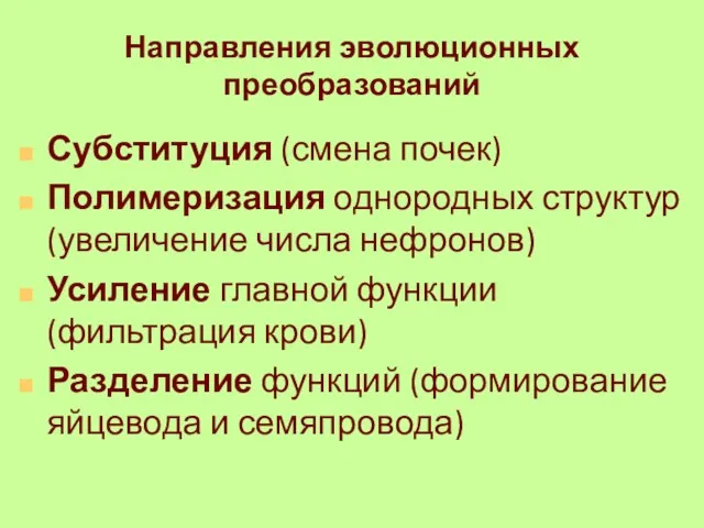 Направления эволюционных преобразований Субституция (смена почек) Полимеризация однородных структур (увеличение