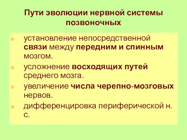 Пути эволюции нервной системы позвоночных установление непосредственной связи между передним