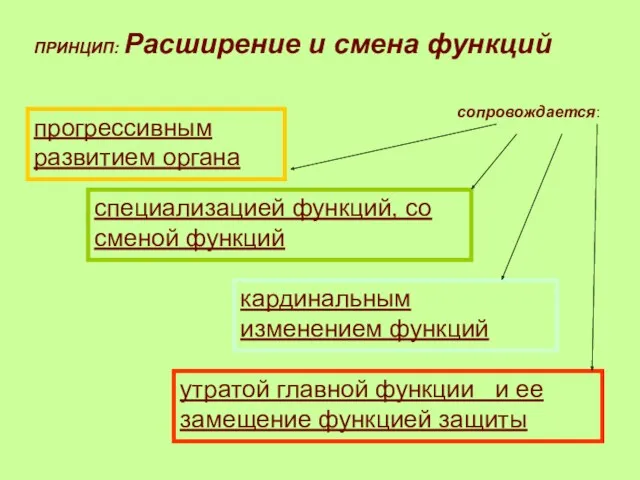 ПРИНЦИП: Расширение и смена функций прогрессивным развитием органа специализацией функций,